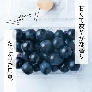 【2026年8月中旬頃から順次発送】ぶどう ナガノパープル 1kg バラ粒 500g 2パック | 美味しい葡萄 小分け 新着 ブドウ 葡萄 人気 フルーツ ブドウ1kg くだもの 甘いぶどう マスカット 早朝 松山市産ぶどう 収穫 ながのぱーぷる 朝採れ ギフト 贈答 期間限定 愛媛県産ブドウ ナチュラルファームｅｎ 【GL005】