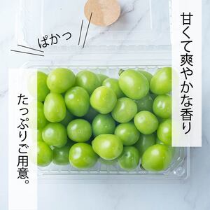 【2026年8月中旬頃から順次発送】シャインマスカット 2kg バラ粒 500g 4パック 小分け 新着 人気 シャインマスカット  マスカット  マスカット  マスカット  マスカット  マスカット  マスカット  マスカット  マスカット  マスカット  マスカット 【GL006】