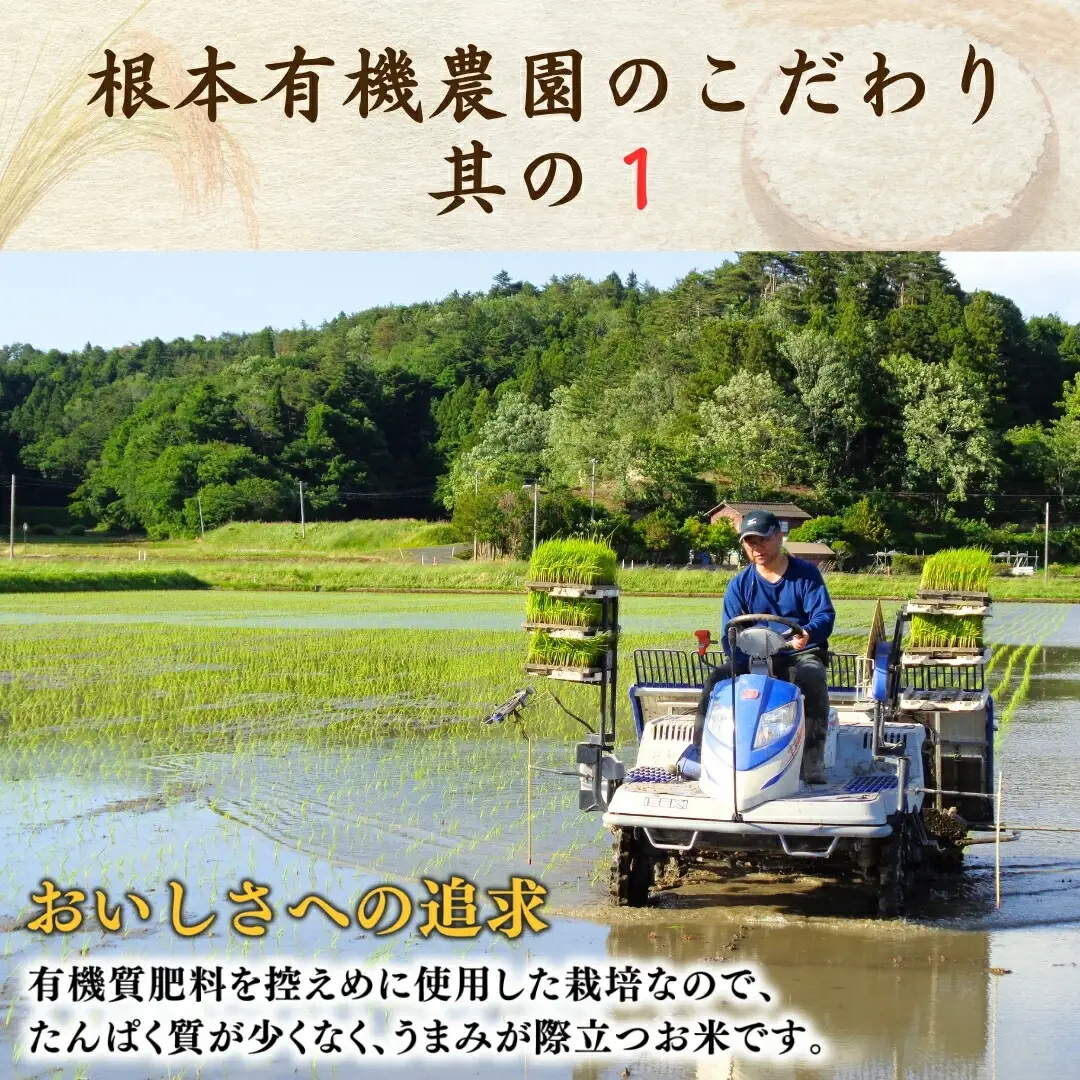 JAS有機米 コシヒカリ 天のつぶ 白米 10キロ (5kg×2種) | 令和7年産 根本有機農園