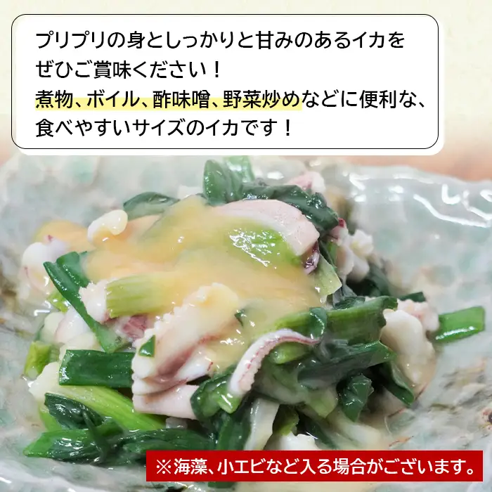 淡路島産ヒイカ 1キロ イカ