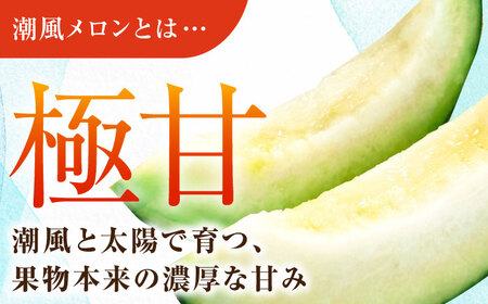 【先行予約】【数量限定50セット】よこすか潮風メロン 大玉4L 2玉セット 計約3kg 【井上農園】 [AKDJ001]