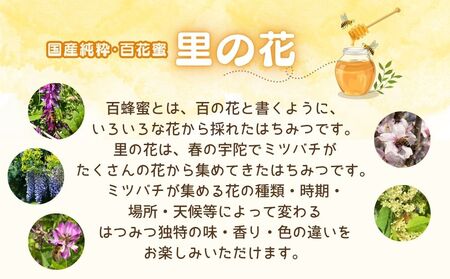 【6月以降発送予定】国産 純粋 はちみつ 里の花 125g (1本)／ 蜂蜜 ハチミツ 非加熱 無添加 無加工 百花蜜 単花蜜 キハダ お取り寄せ 伊藤ゆう養蜂園 奈良県 宇陀市 ふるさと納税