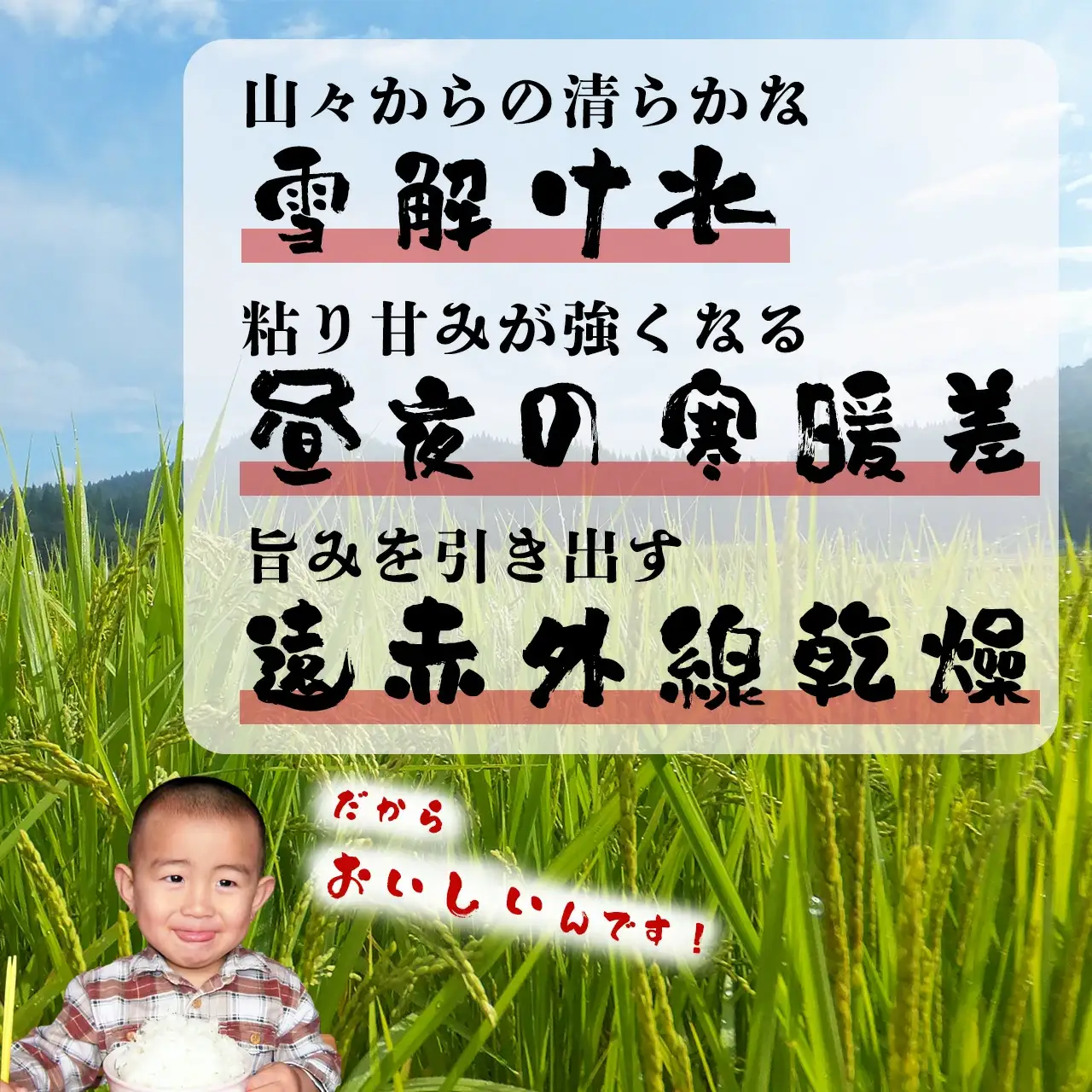 【令和7年産】ファームとのせ「あきたこまち5kg」　70P9016