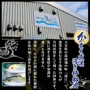 骨まで食べれる ぶりのあら煮(6個・醤油) 大分県産 鰤 煮物 煮つけ おかず 魚介 しょうゆ味 防災【CK70】【かまえ直送活き粋船団】