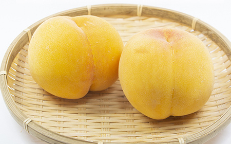 【先行予約 令和8年度発送】山形県産 黄桃 2kg もも モモ 桃 デザート フルーツ 果物 くだもの 果実 食品 山形県 FSY-0685