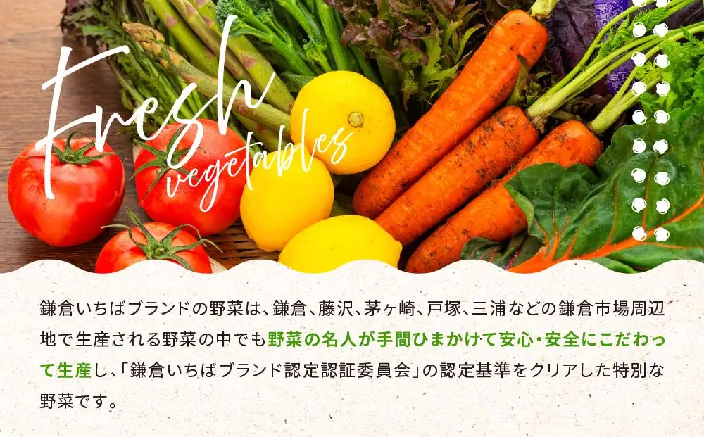 「鎌倉いちばブランド」新鮮お野菜詰め合わせセット 10～15品 | 野菜 人気 詰合せ