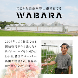 わばら束 20本 　Rose Farm KEIJI　WABARA 和ばら バラ 花束 冷蔵 贈り物 Rose Universe AT-0005