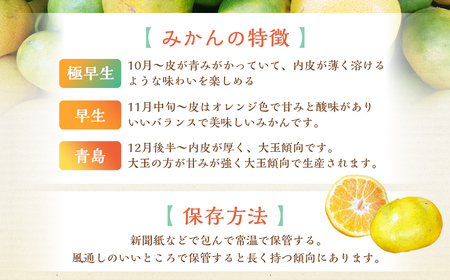 【規格外品】 熊本市産 みかん ご家庭用 15kg 不揃い 蜜柑 ミカン フルーツ 果物 くだもの 柑橘 熊本産 九州産【2026年10月下旬～2027年2月下旬迄発送予定】