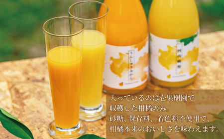 ストレートジュース 愛媛 の 柑橘ジュース 720ml × 2本 セット 壱果樹園 河内晩柑 温州みかん みかんジュース みかん 蜜柑 mikan フルーツ ジュース 果汁 100% 飲料 ギフト 贈答用 果物 くだもの 国産 愛媛 宇和島 H015-141002