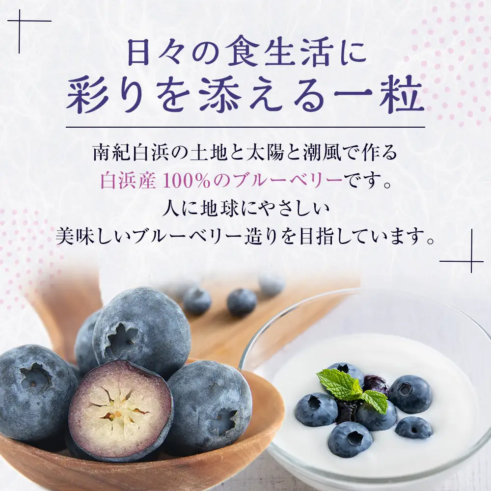 南紀白浜産ブルーベリー 約400g