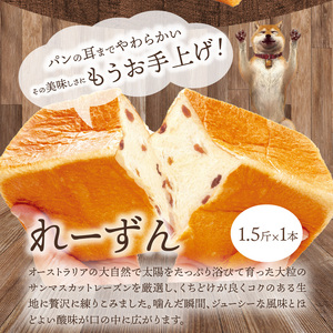れーずん1.5斤1本　サンマスカットレーズン 食べ比べ セット パンセット 1.5斤 DJ-0002