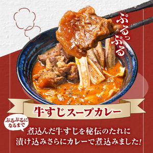 みんなで美人！奥芝商店 コラーゲン牛すじスープカレー【550g×2個／2~4人前入り】　北海道 レトルト 人気 札幌