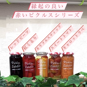 赤いピクルスシリーズ『RED VEGETABLES』