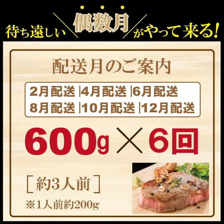 【定期便】年6回/偶数月 佐賀牛ヒレステーキ 定期便 牛肉 Q400-001 