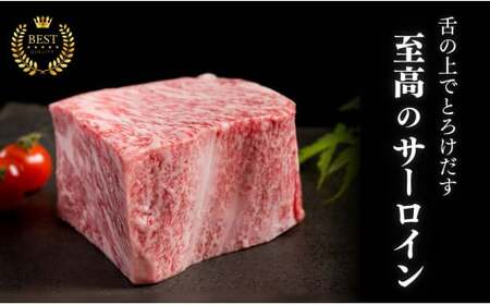 佐賀牛サーロインステーキ150g×2枚【お肉好きに愛される高級部位！パーティやプレゼントに最適！】N24-4