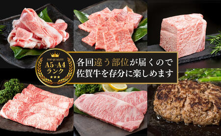 【偶数月にお届け！】佐賀牛 定期便 通年6回コース 牛肉 黒毛和牛 極上の佐賀牛 カルビ焼肉 ロースブロック バラスライス ロースステーキ しゃぶしゃぶ ハンバーグ 厳選 お肉 おにく ギフト プレゼント 贈り物 N120-13