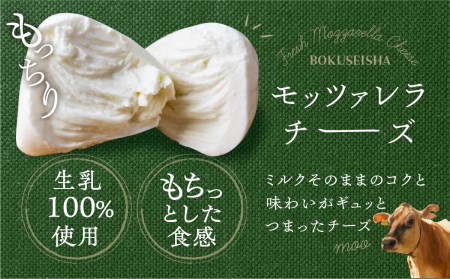 ＜牧成舎＞牛乳屋がていねいに作ったフレッシュモッツァレラチーズ5個 モッツァレラチーズ 飛騨市[Q1420x] 