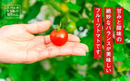 【ギフト】スパルタ生まれの笑ちゃんトマト(200g×4パック入) GC-1 トマト 産地直送 フルーツトマト フルティカ