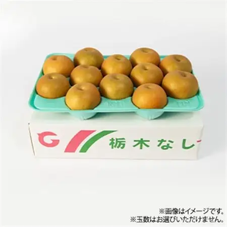 栃木県小山市産「梨」香麗 5kg【1413077】