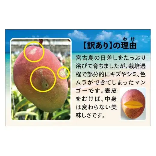 宮古島すがわら農園　【訳あり】完熟マンゴー２kg（3～6玉）（FR004）