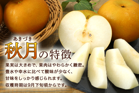 【数量限定 / 夏季限定】 梨（秋月）約5kg 梨 なし ナシ 日本梨 あきづき アキヅキ 17-X 【9月上旬～中旬発送予定】