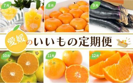  愛媛のいいもの定期便 (年間12回) かんきつ・お野菜・ジュレ いよかん 不知火 せとか カラマンダリン 河内晩柑 とうもろこし かんきつジュレ ハウスみかん 長なす 温州みかん 愛果28号 【KK1083】