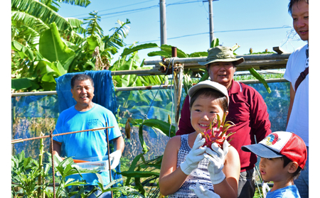 【読谷村の民家で民泊！よみたん民泊】　2泊4食付プラン＜2名様＞