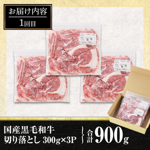 isa447 【定期便3回】牛肉贅沢コース (合計2.6kg) 国産 肉 牛肉 霜降り すきやき しゃぶしゃぶ 牛しゃぶ 冷凍 ロース カタロース 肩ロース リブロース ステーキ BBQ 食べ比べ セット 【サンキョーミート株式会社】