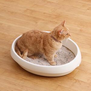 猫砂 クリーンサンド 5L×4袋 20L 無香料 ベントナイト 鉱物 猫砂 脱臭 アイリスオーヤマ 抗菌 Ag+ ペレットタイプ 飛び散り防止 CLS-5L