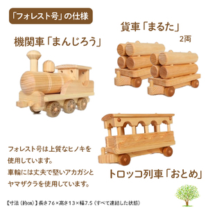 楽しいインテリアおもちゃ「フォレスト号」／Ole-24 おもちゃ おもちゃ おもちゃ おもちゃ おもちゃ おもちゃ