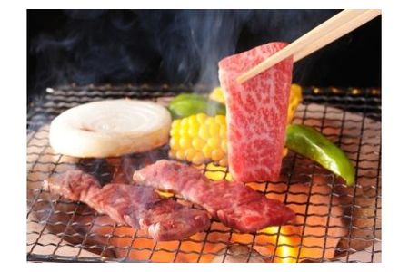 【2607-2580】※HNP-07飛騨牛焼肉用飛騨牛肩ロース肉700g