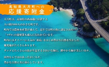 高知県大月町への応援寄付金1万円　【返礼品なし】