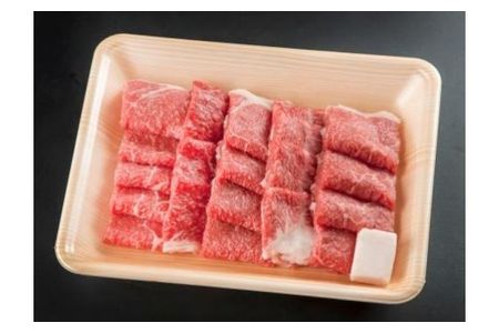 【2607-2585】※HNP-12飛騨牛焼肉用もも・かた(赤身)肉400g