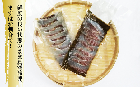 真鯛 昆布 締め 約60g×8パック スライス済み 皮目湯引き済み 真鯛