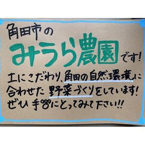 【2026年発送分先行予約】みうら農園 季節の野菜セット（夏野菜）【2026年6月中旬以降順次】