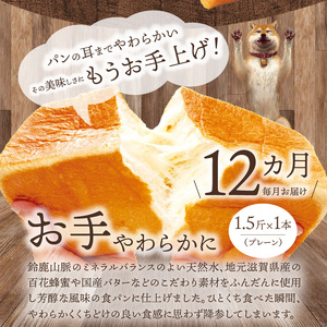 【定期便】お手やわらかに1.5斤1本＆れーずん1.5斤1本/12ヵ月　定期便 12回 食パン 食べ比べ パン プレーン レーズン セット DJ-T003