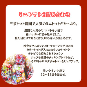 三須トマト農園 ミニトマト詰合せ 2.7kg とまと トマト フルーツトマト ミニトマト トマトジュース 野菜 やさい 人気 新鮮 産地直送 甘い 高糖度 完熟 食べやすい リコピン ビタミン ダイエット 美容 美肌 期間限定 限定