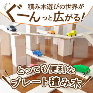 遊びの世界が広がる積み木！プレート積み木スタンダードセット [h007]
