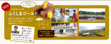 ＜通常A＞2026年度おいも株オーナー制度1口セット ふくしまゴールド