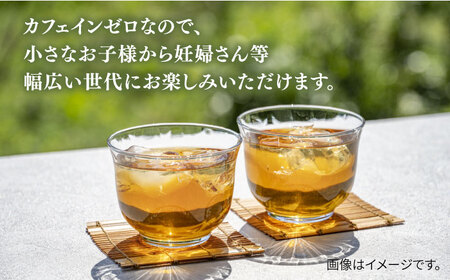 麦茶 600ml × 24本  糸島市 / スターナイン お茶 麦茶 ペットボトル [ARM005]
