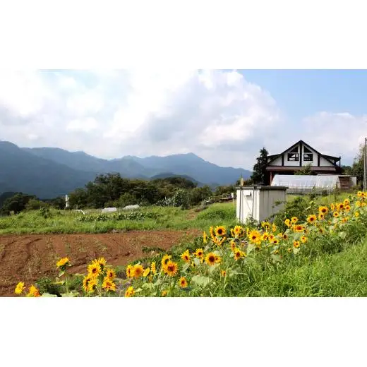自分で野菜を作り収穫できる貸し農園【019-003】