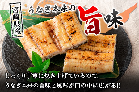 「こだま鰻」宮崎県産 うなぎ白焼き（2～3尾）計500g以上 国産 真空パック【C418-25】