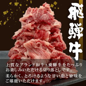 【8月発送】飛騨牛 切り落とし 600g 牛肉 和牛 肉 切落し ブランド牛 国産 10000円
