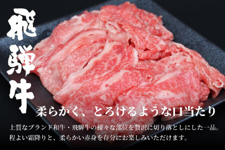 【9月発送】飛騨牛 4等級以上 切り落とし 560g 牛肉 和牛 肉 切落し ブランド牛 4等級 5等級 国産 10000円