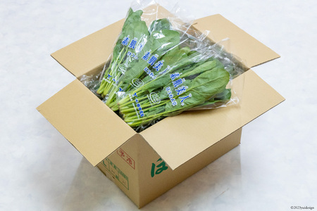 CH011 ほうれん草 150g×30束[ホウレンソウ 野菜]