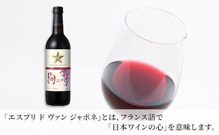 ワイン グランポレール エスプリ・ド・ヴァン・ジャポネ 絢 -AYA- 6本（1本 720ml）赤ワイン ライトボディ サッポロビール 岡山ワイナリー お酒 国産ワイン 果実香 酸味 程よい熟成感 タンニン 