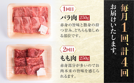《定期便》飛騨牛 定期便 4回 焼肉 ちょこっと食べ比べ 定期便  [S401]　牛肉