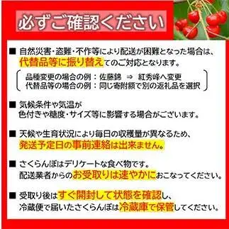 【令和8年産先行予約】 さくらんぼ 「佐藤錦」 約1kg (約500g×2パック 秀 L以上) バラ詰め 《令和8年6月中旬～発送》 『マルタニ農園』 小分け サクランボ 果物 フルーツ 産地直送 生産農家直送 山形県 南陽市 [1217]