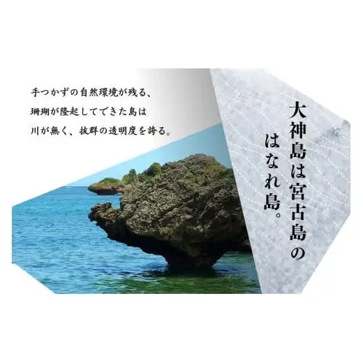 大神島もずく（200ｇ×10袋）