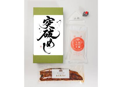 【JAにいがた南蒲コラボ】突破めし（2人前）難関突破米4合・炭火焼うなぎ2尾入り《1尾約150～180g×2、約25cm、たれ18g×2個、山椒2袋、難関突破米300g（2合）×2》老舗料亭の味 贈答 加茂市 日本料理きふね うなぎ 鰻 うなぎの蒲焼 うなぎ うなぎ うなぎ うなぎ うなぎ